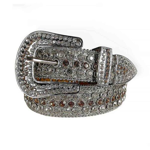 Silver-Strap-With-Brown belt