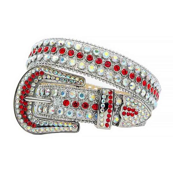Silver-Strap-with-Iridescent-and-Red belt