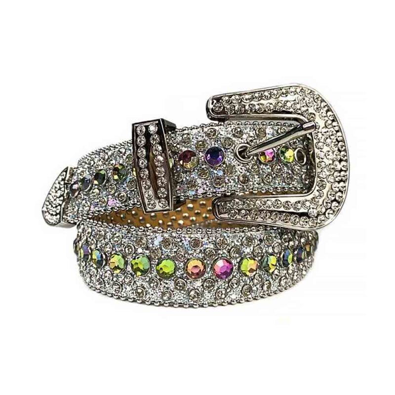 Silver-and-Multi-Color belt